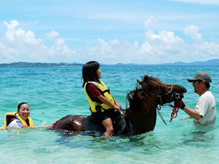 Iejima Beachside Horse Park