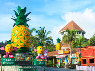 Nago Pineapple Park